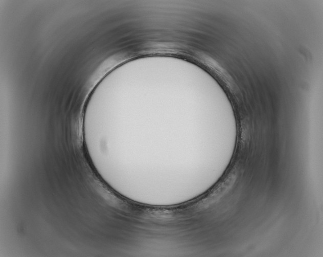 X0000113171370200910021513