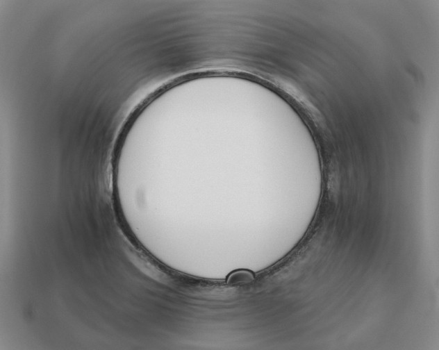 X0000113171372200910021513