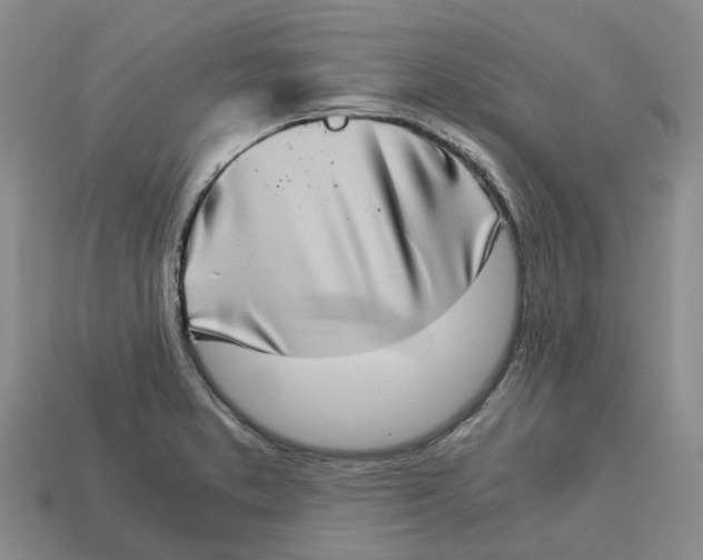 X0000113171373200910021513