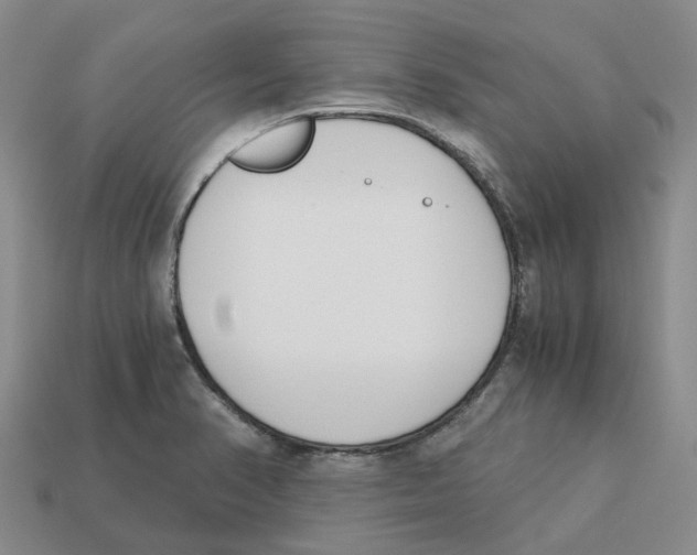 X0000113171374200910021513
