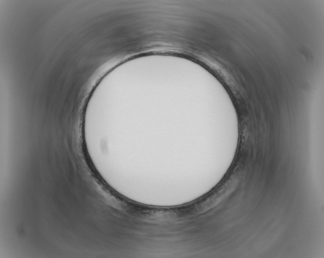 X0000113171375200910021513