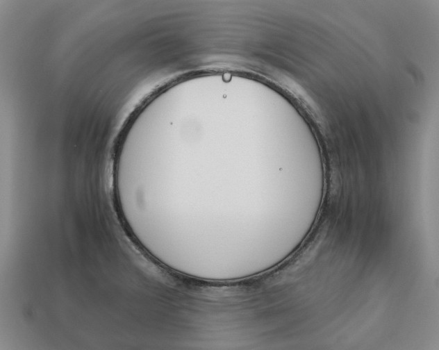 X0000113171376200910021513