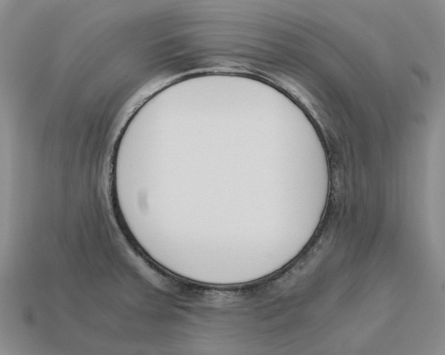 X0000113171379200910021513