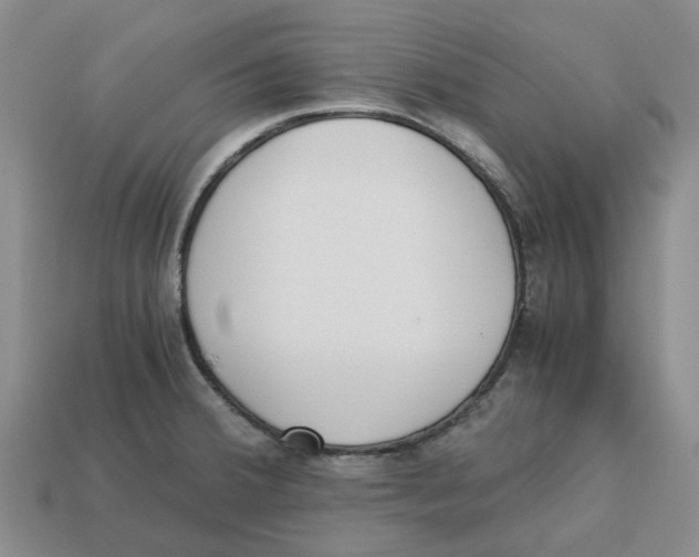 X0000113171380200910021513
