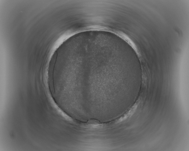 X0000113171381200910021513