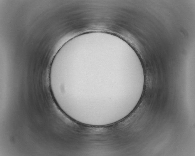 X0000113171382200910021513