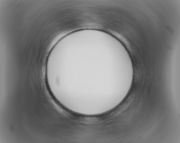 X0000113171383200910021513