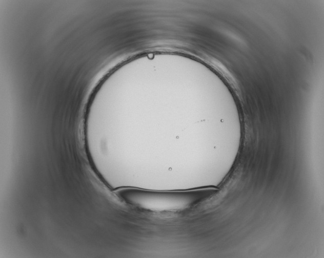 X0000113171384200910021513