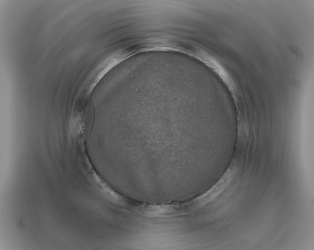 X0000113171385200910021513