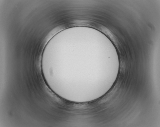 X0000113171386200910021513