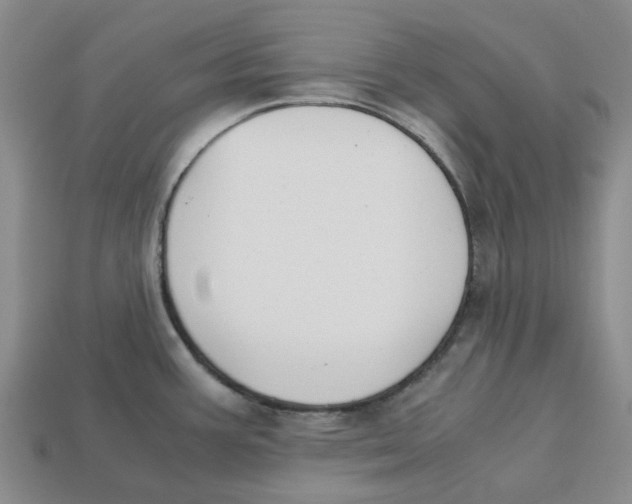 X0000113171387200910021513