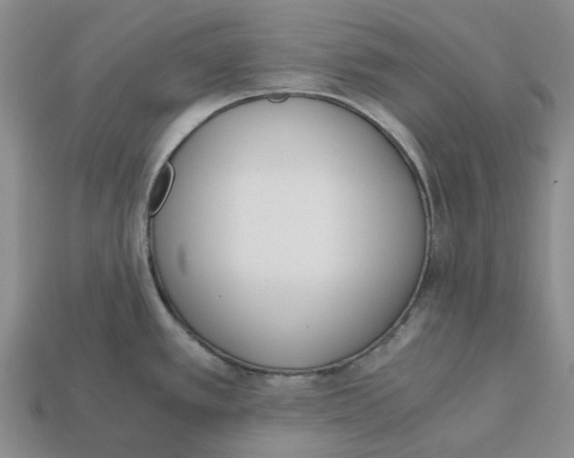 X0000113171389200910021513