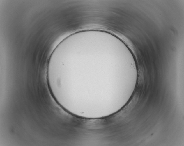 X0000113171390200910021513