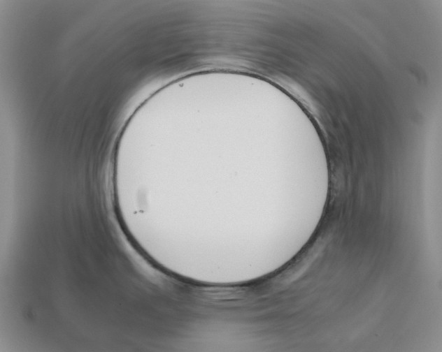 X0000113171391200910021513