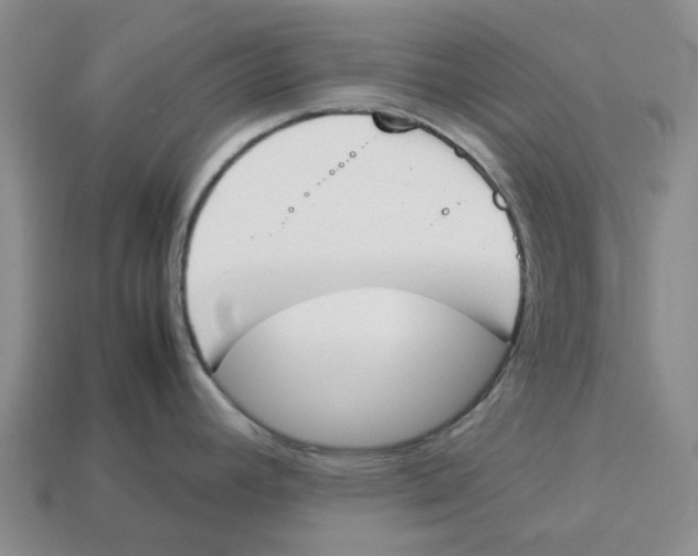 X0000113171392200910021513