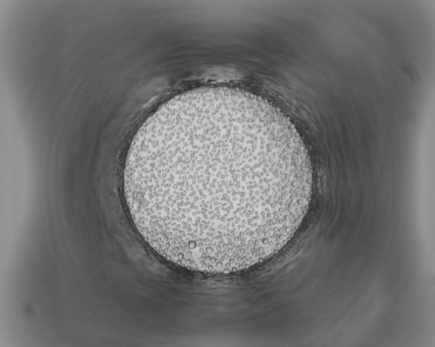 X0000113171393200910021512