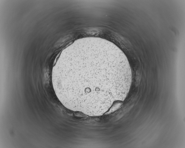 X0000113171394200910021512