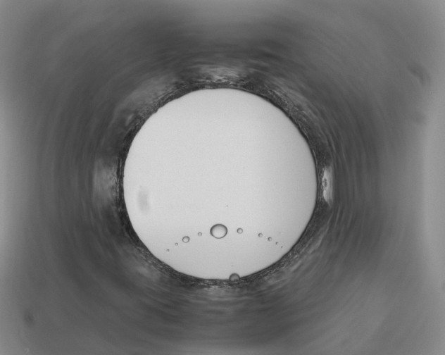 X0000113171395200910021512