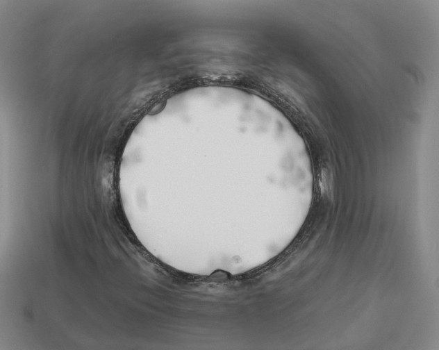 X0000113171396200910021512