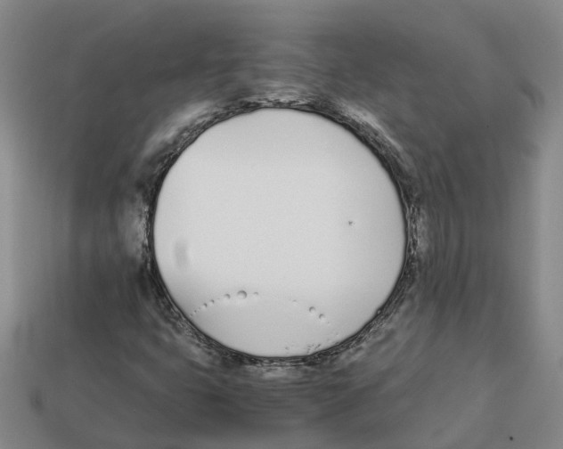 X0000113171399200910021512