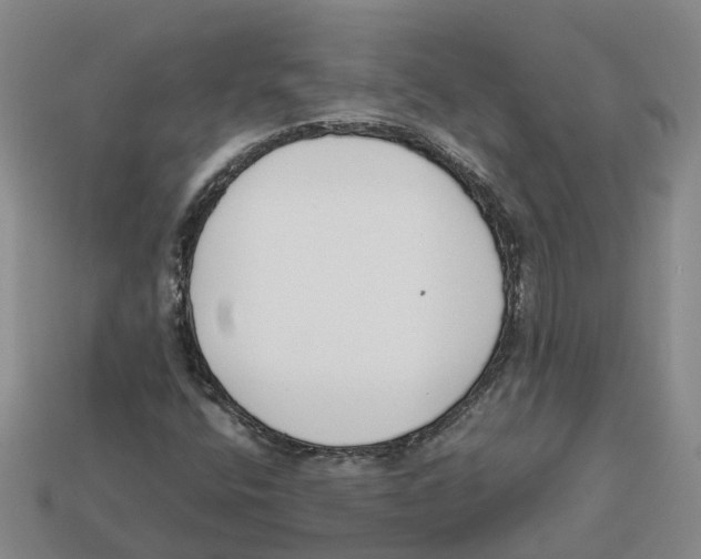 X0000113171400200910021512