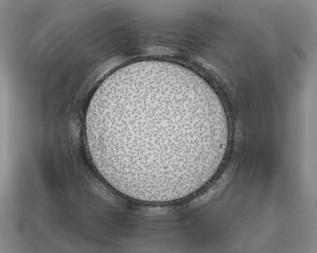 X0000113171401200910021512