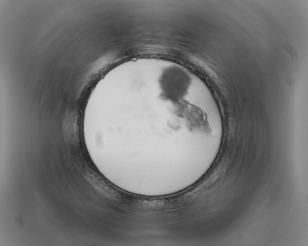X0000113171403200910021512