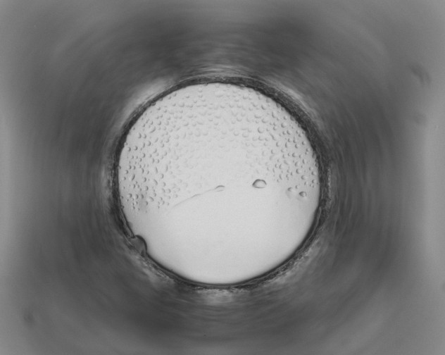 X0000113171405200910021512
