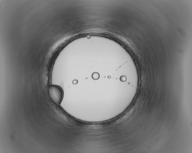 X0000113171406200910021512