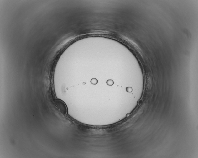 X0000113171407200910021512