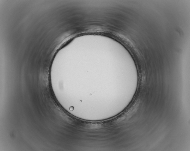 X0000113171409200910021512