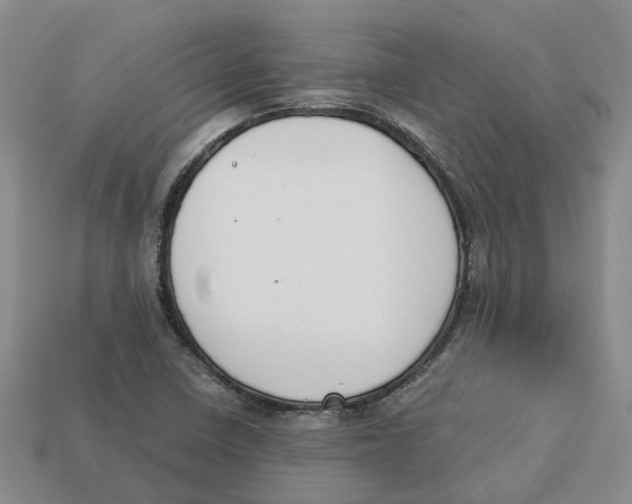 X0000113171410200910021512