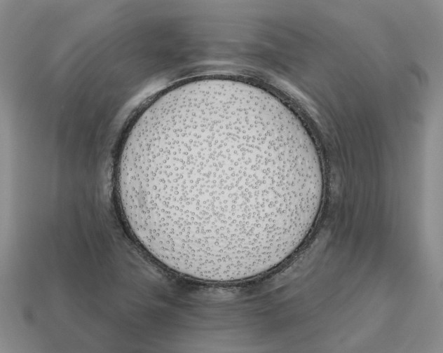 X0000113171411200910021512