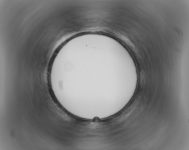 X0000113171412200910021512