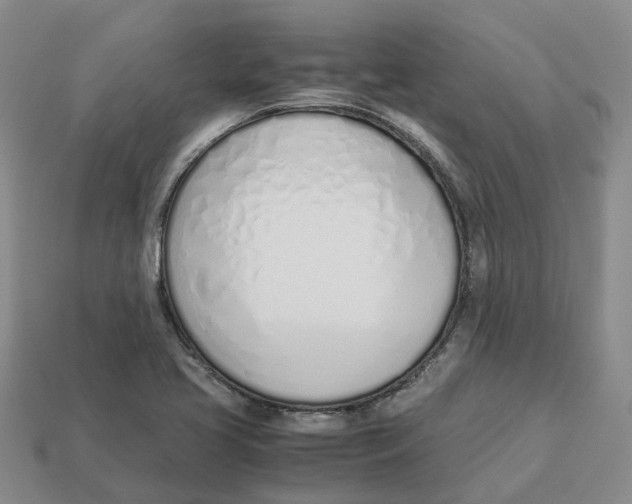 X0000113171413200910021512