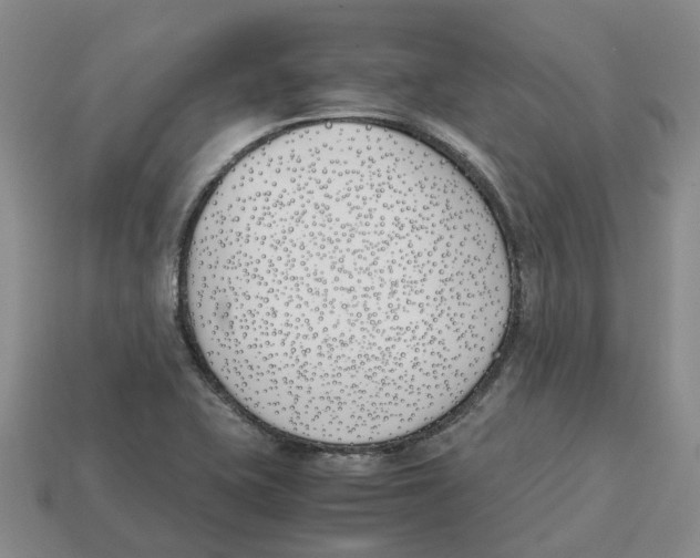 X0000113171415200910021512