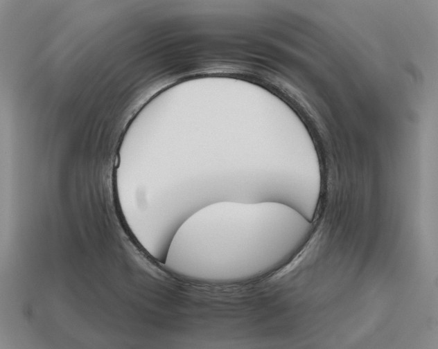 X0000113171417200910021512