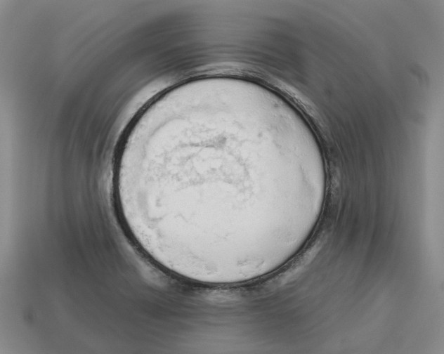 X0000113171418200910021512