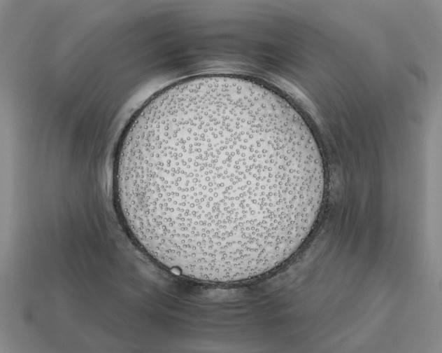 X0000113171419200910021512