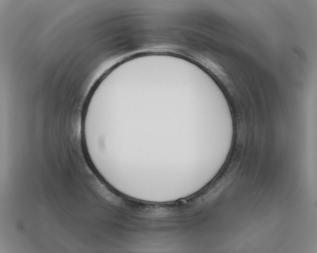 X0000113171420200910021512
