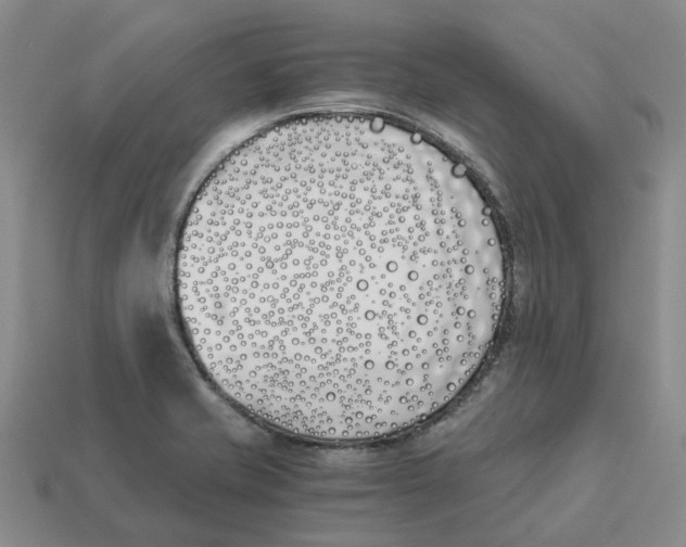 X0000113171421200910021512