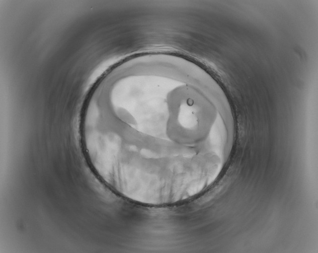 X0000113171422200910021512
