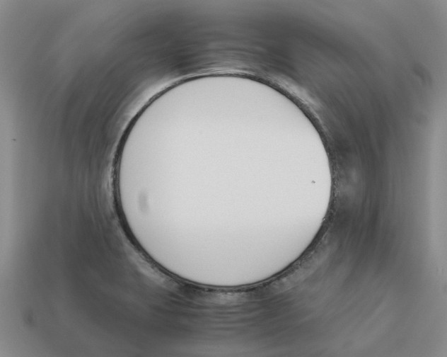 X0000113171423200910021512