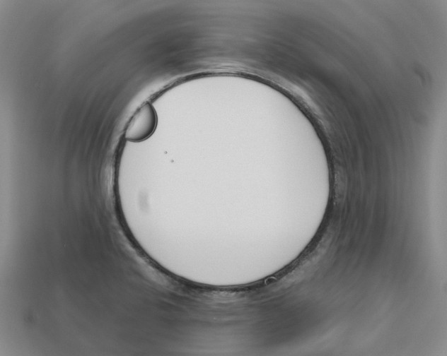 X0000113171424200910021512