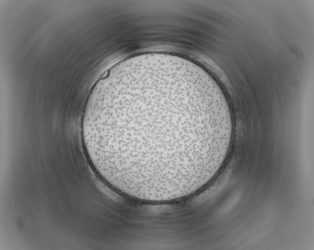 X0000113171425200910021512