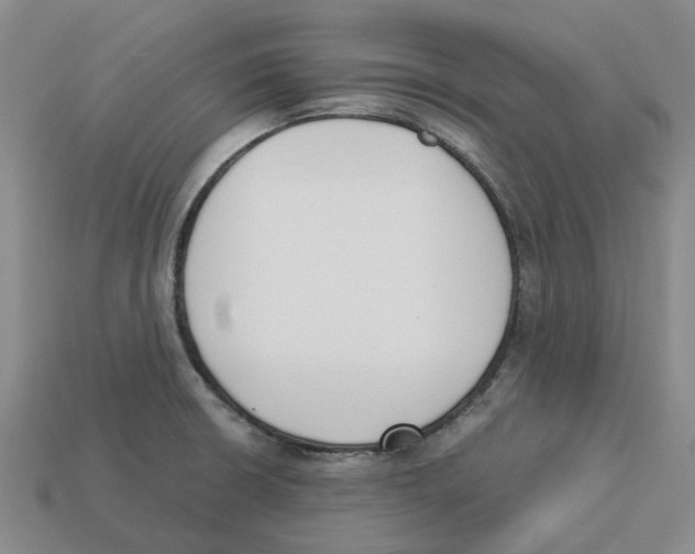 X0000113171426200910021513