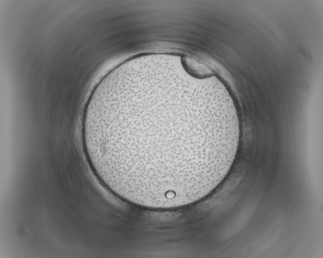 X0000113171429200910021513