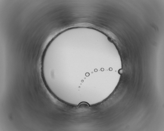 X0000113171430200910021513