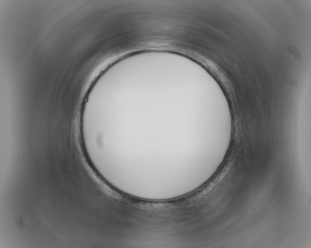 X0000113171432200910021513