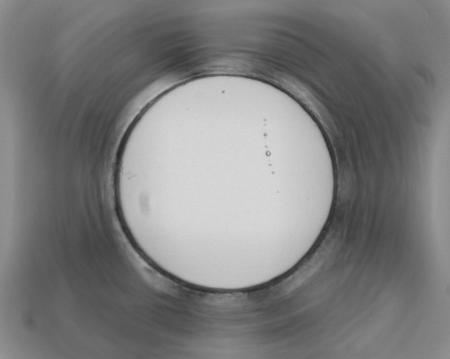 X0000113171434200910021513